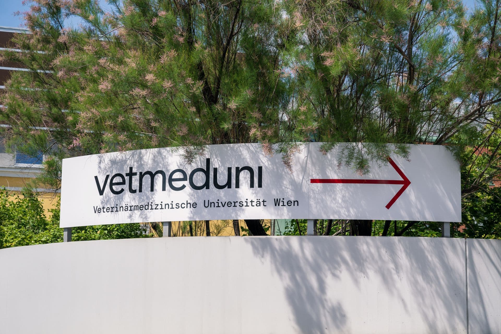 2 Credit Thomas Suchanek Vetmeduni